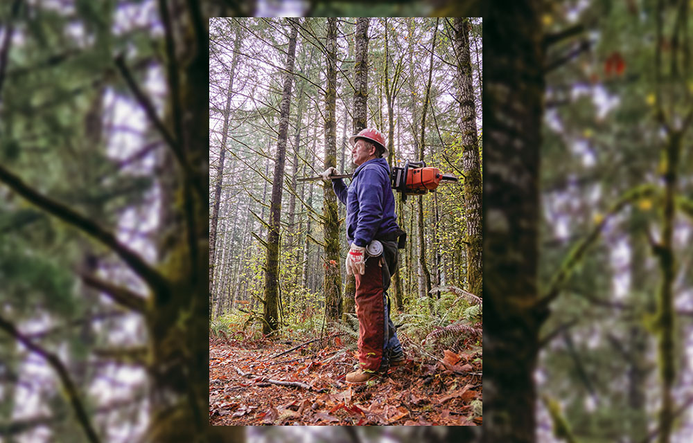 A Logger in the woods.